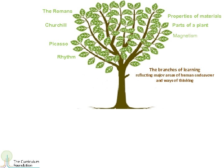 The Romans Properties of materials Churchill Parts of a plant Magnetism Picasso Rhythm The