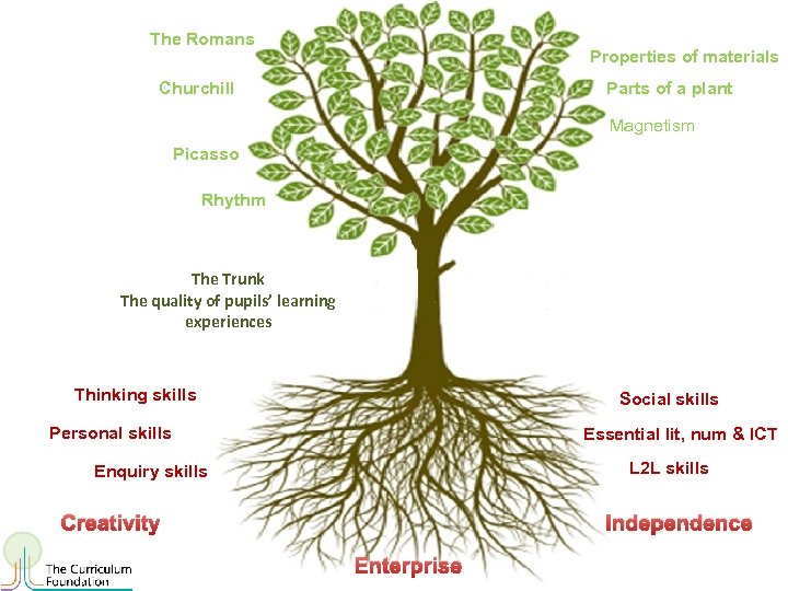The Romans Properties of materials Churchill Parts of a plant Magnetism Picasso Rhythm The