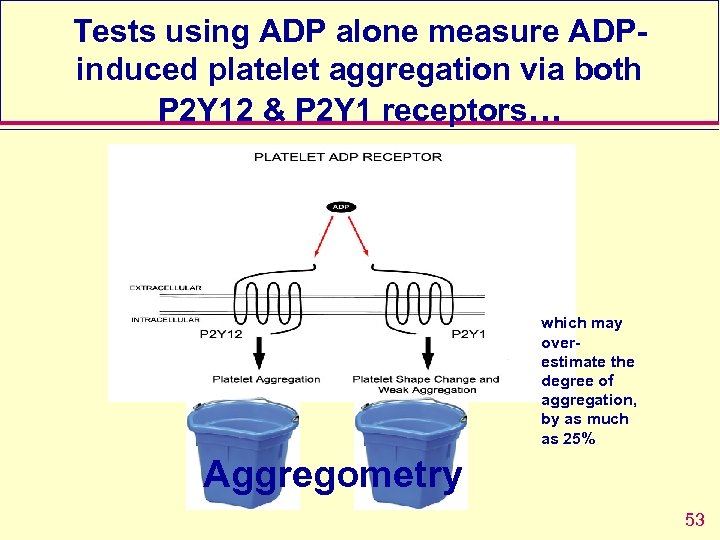 Tests using ADP alone measure ADPinduced platelet aggregation via both P 2 Y 12