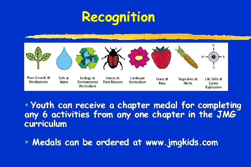 Recognition § Youth can receive a chapter medal for completing any 6 activities from