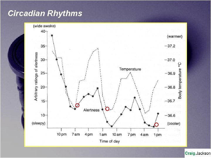 Circadian Rhythms 