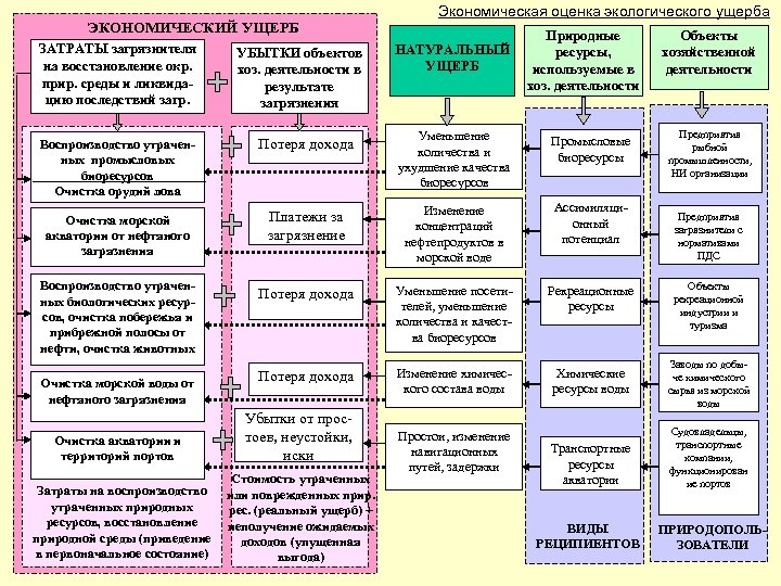 ЭКОНОМИЧЕСКИЙ УЩЕРБ ЗАТРАТЫ загрязнителя на восстановление окр. прир. среды и ликвидацию последствий загр. УБЫТКИ