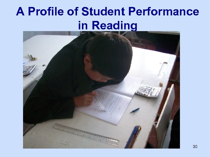 A Profile of Student Performance in Reading 30 