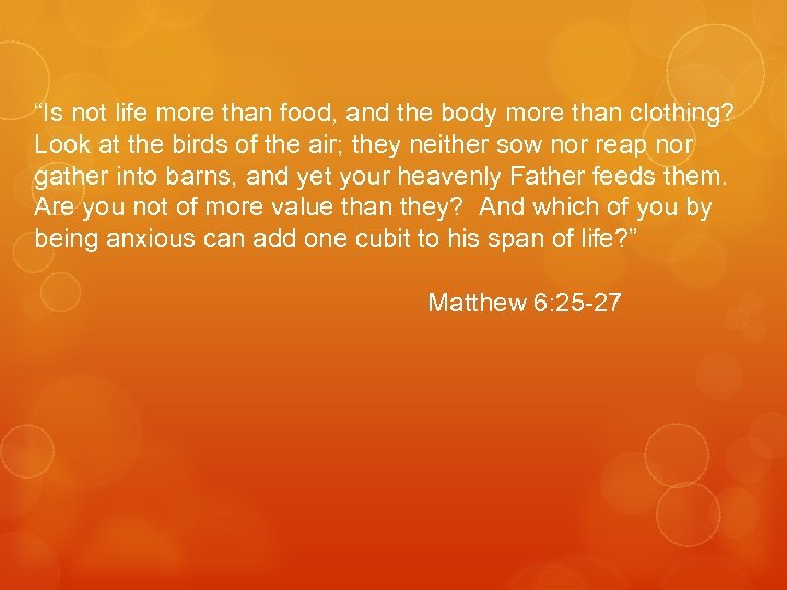 “Is not life more than food, and the body more than clothing? Look at