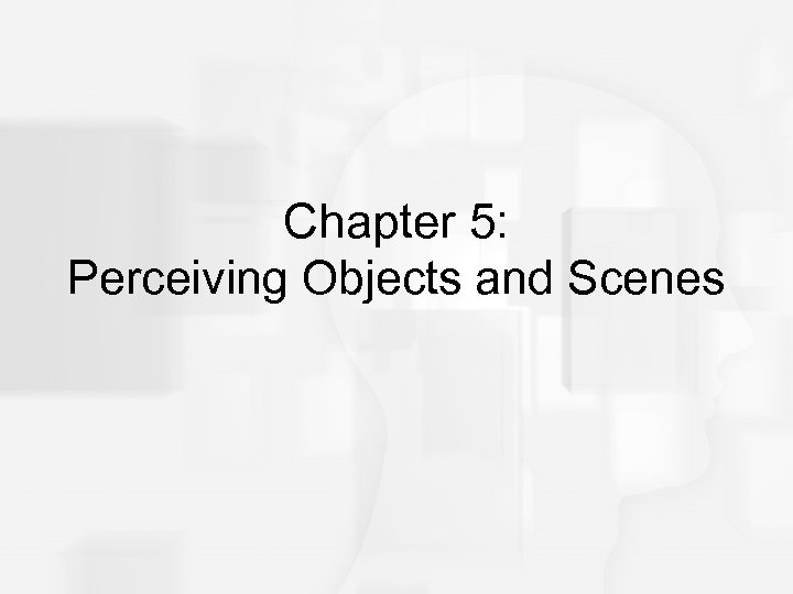 Chapter 5: Perceiving Objects and Scenes 