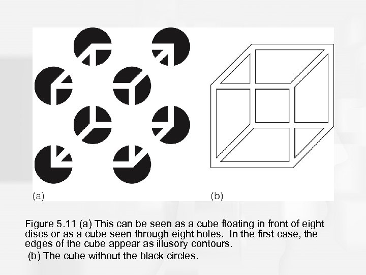 Figure 5. 11 (a) This can be seen as a cube floating in front