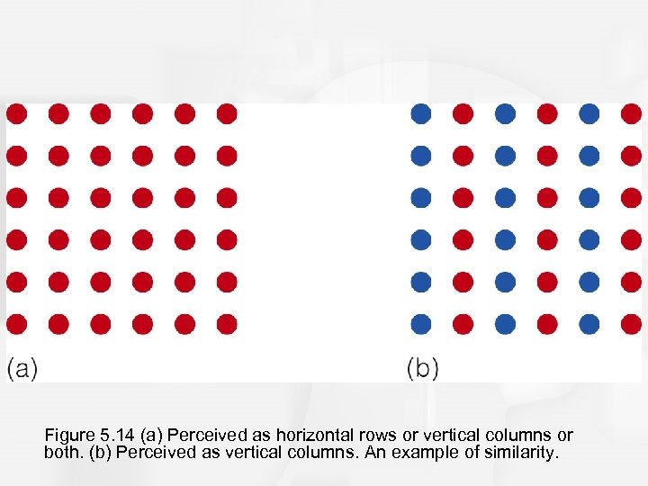 Figure 5. 14 (a) Perceived as horizontal rows or vertical columns or both. (b)