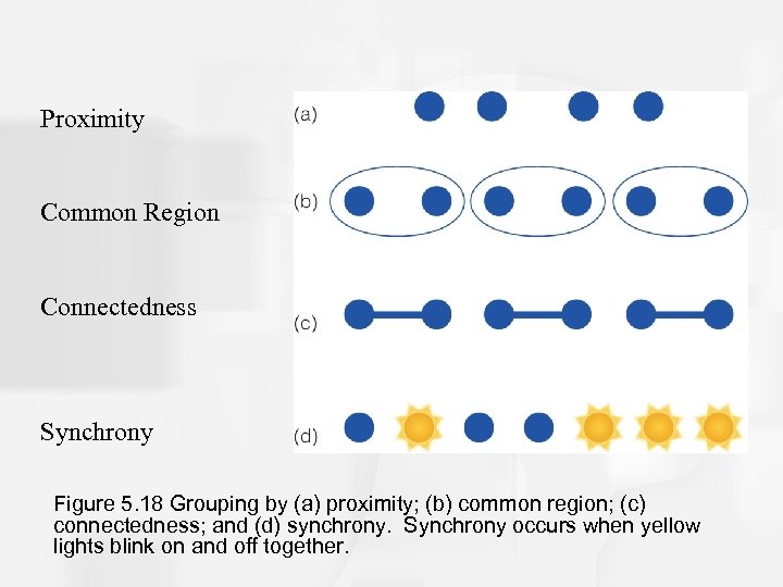 Proximity Common Region Connectedness Synchrony Figure 5. 18 Grouping by (a) proximity; (b) common