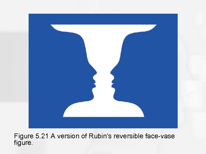 Figure 5. 21 A version of Rubin’s reversible face-vase figure. 