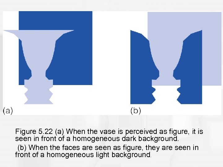 Figure 5. 22 (a) When the vase is perceived as figure, it is seen