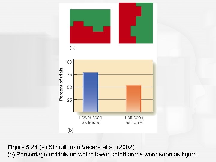 Figure 5. 24 (a) Stimuli from Vecera et al. (2002). (b) Percentage of trials