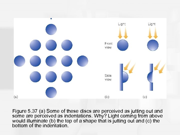 Figure 5. 37 (a) Some of these discs are perceived as jutting out and