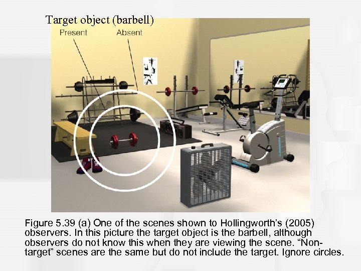 Target object (barbell) Figure 5. 39 (a) One of the scenes shown to Hollingworth’s