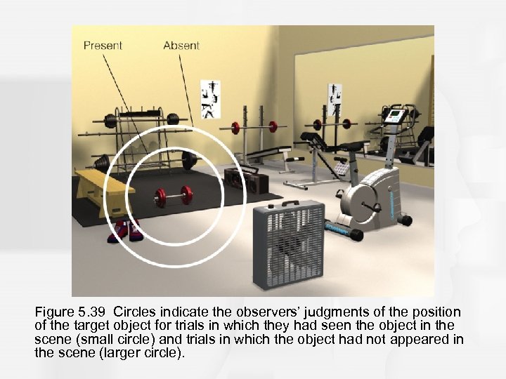 Figure 5. 39 Circles indicate the observers’ judgments of the position of the target