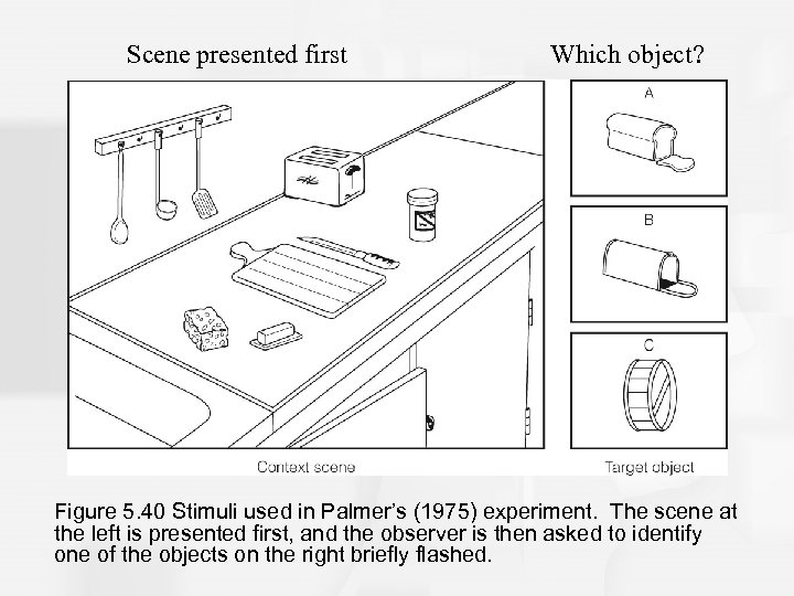 Scene presented first Which object? Figure 5. 40 Stimuli used in Palmer’s (1975) experiment.