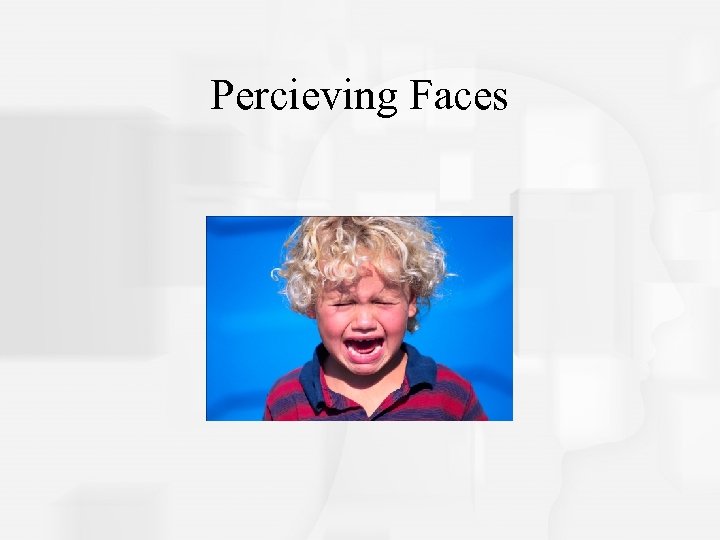 Percieving Faces 