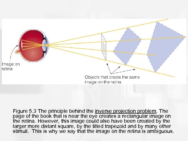 Figure 5. 3 The principle behind the inverse projection problem. The page of the