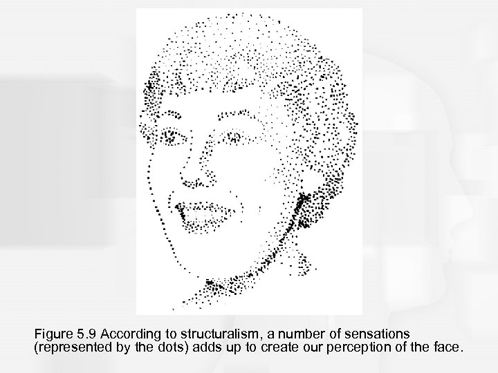 Figure 5. 9 According to structuralism, a number of sensations (represented by the dots)