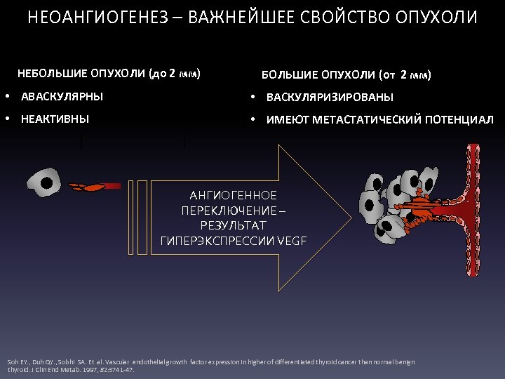 НЕОАНГИОГЕНЕЗ – ВАЖНЕЙШЕЕ СВОЙСТВО ОПУХОЛИ НЕБОЛЬШИЕ ОПУХОЛИ (до 2 мм) БОЛЬШИЕ ОПУХОЛИ (от 2