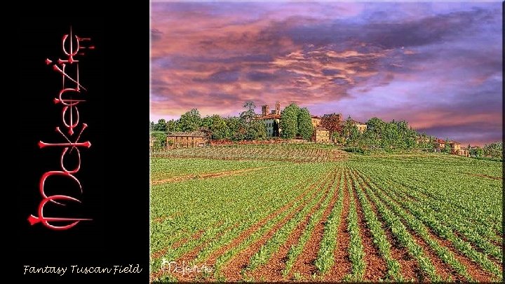 Fantasy Tuscan Field 