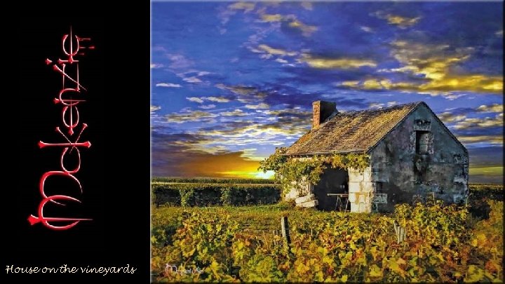 House on the vineyards 