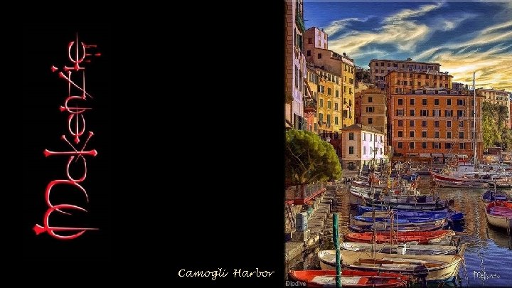 Camogli Harbor 