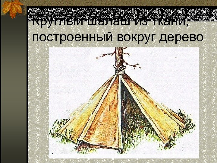 Круглый шалаш из ткани, построенный вокруг дерево 