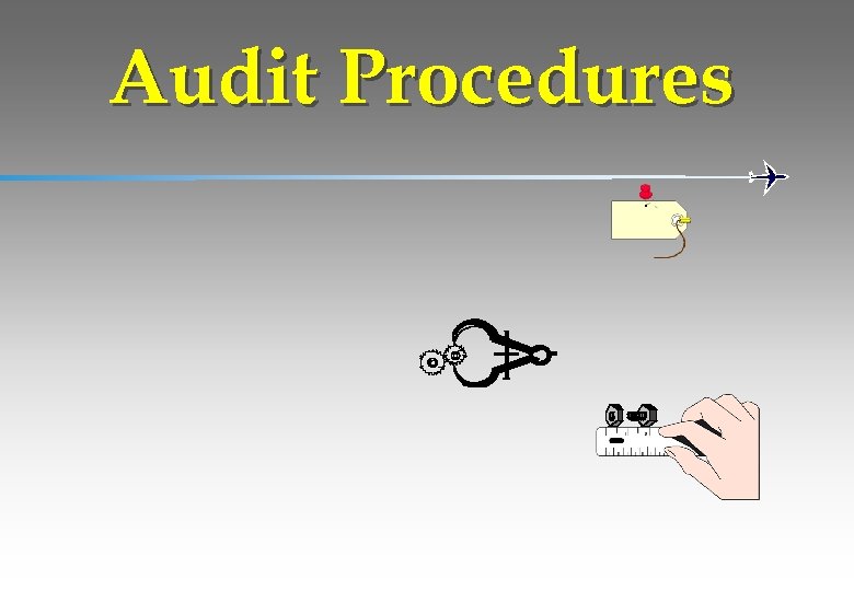 Audit Procedures 