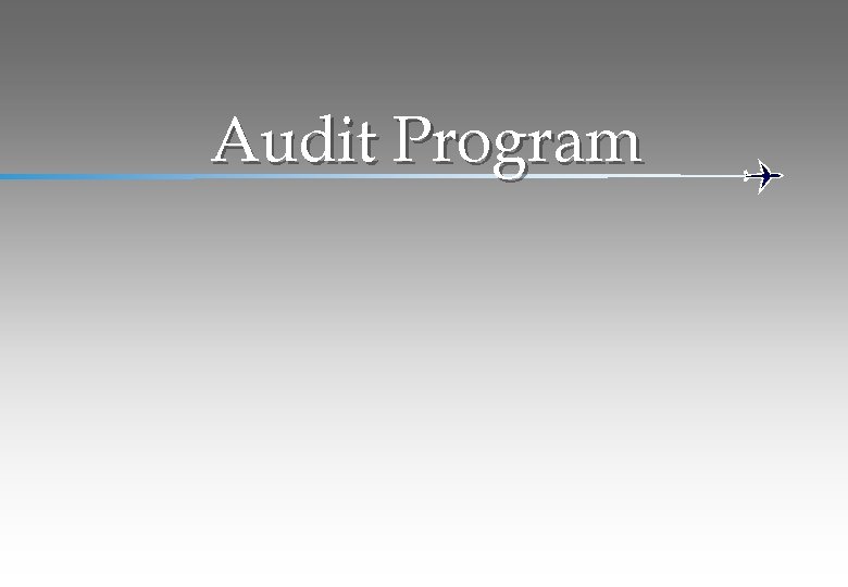Audit Program 