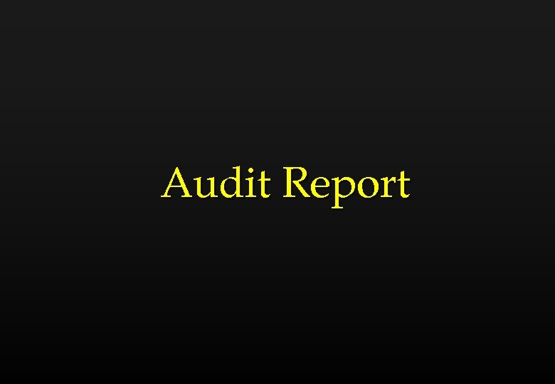 Audit Report 