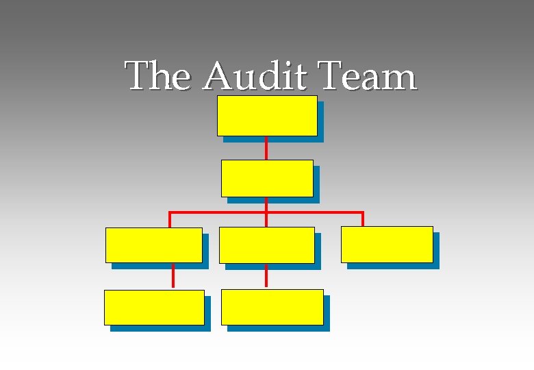 The Audit Team 