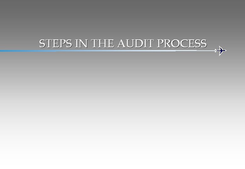 STEPS IN THE AUDIT PROCESS 