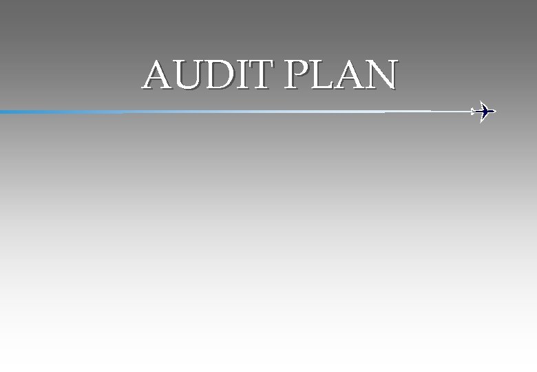 AUDIT PLAN 