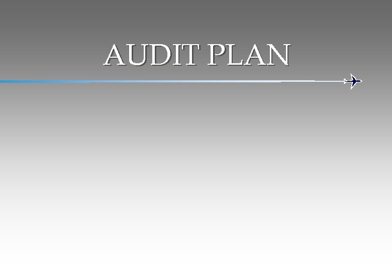 AUDIT PLAN 