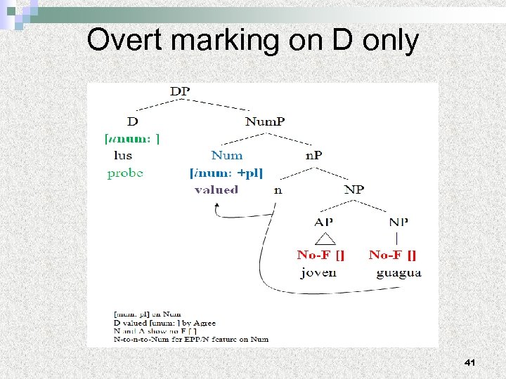 Overt marking on D only 41 