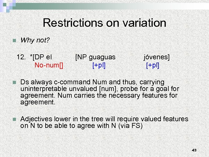 Restrictions on variation n Why not? 12. *[DP el [NP guaguas jóvenes] No-num[] [+pl]