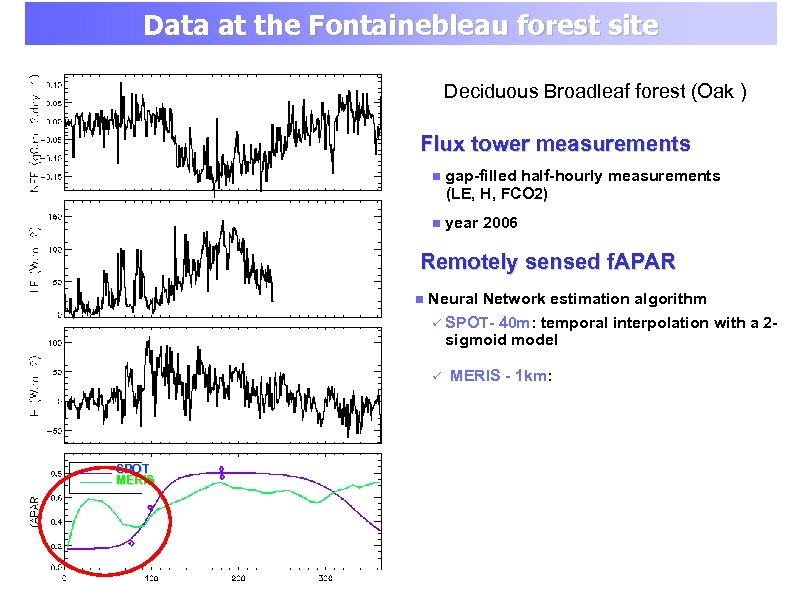 Data at the Fontainebleau forest site Deciduous Broadleaf forest (Oak ) Flux tower measurements