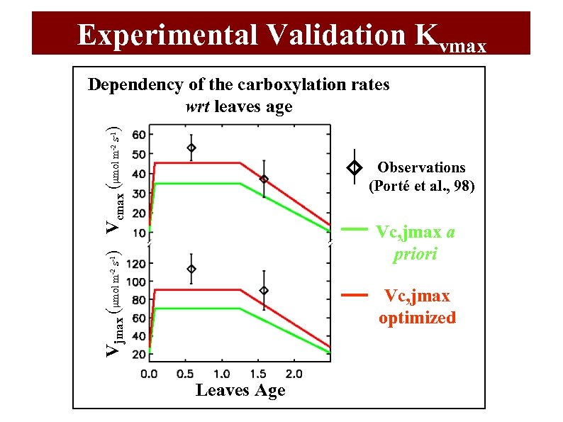 Experimental Validation Kvmax ) Vcmax (μmol m -2 s-1 ) Dependency of the carboxylation