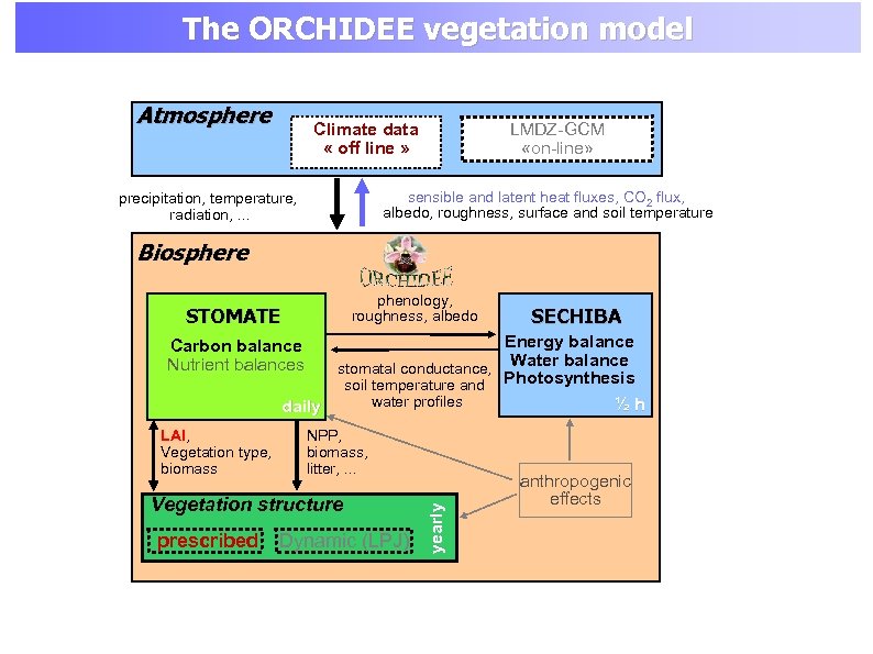 The ORCHIDEE vegetation model Atmosphere Climate data « off line » LMDZ-GCM «on-line» sensible