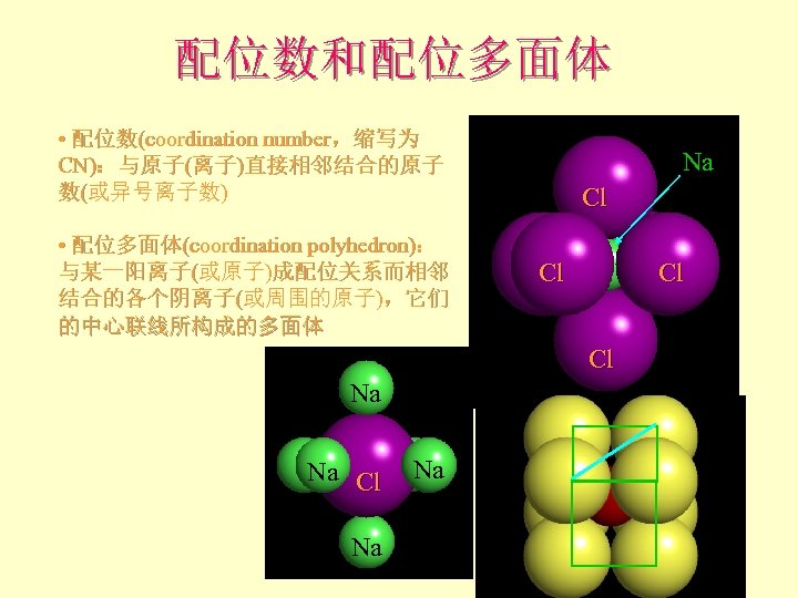 配位数和配位多面体 • 配位数(coordination number，缩写为 CN)：与原子(离子)直接相邻结合的原子 数(或异号离子数) • 配位多面体(coordination polyhedron)： 与某一阳离子(或原子)成配位关系而相邻 结合的各个阴离子(或周围的原子)，它们 的中心联线所构成的多面体 Na Cl