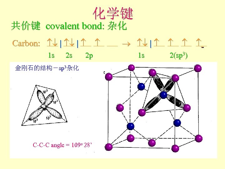 化学键 共价键 covalent bond: 杂化 Carbon: | | 1 s 2 s 2 p