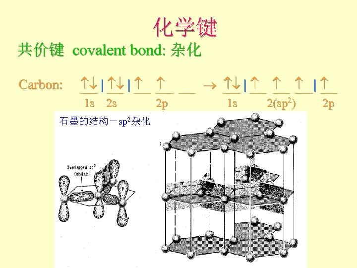 化学键 共价键 covalent bond: 杂化 Carbon: | | 1 s 2 s 2 p