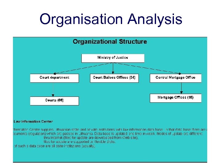 Organisation Analysis 