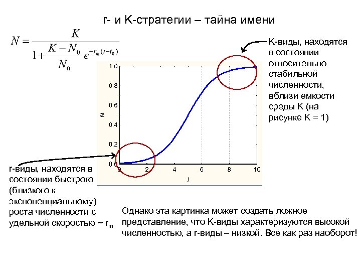 r- и K-стратегии – тайна имени K-виды, находятся в состоянии относительно стабильной численности, вблизи