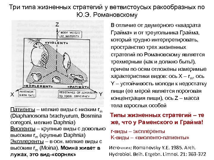 Типы жизненных стратегий