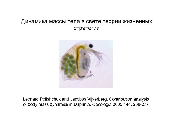 Динамика массы тела в свете теории жизненных стратегий Leonard Polishchuk and Jacobus Vijverberg. Contribution