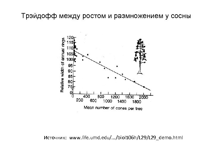 Теория жизненных стратегий