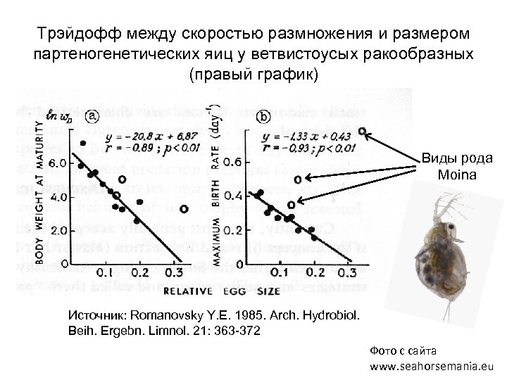 Жизненные стратегии картинки