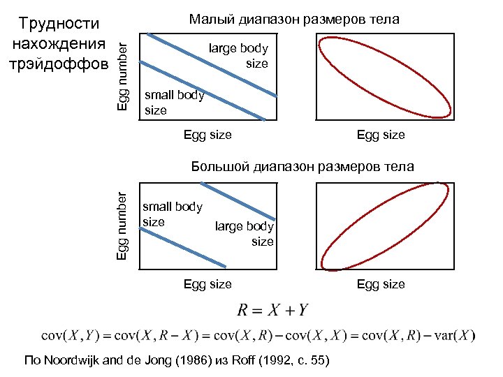 Малый диапазон размеров тела Egg number Трудности нахождения трэйдоффов large body size small body