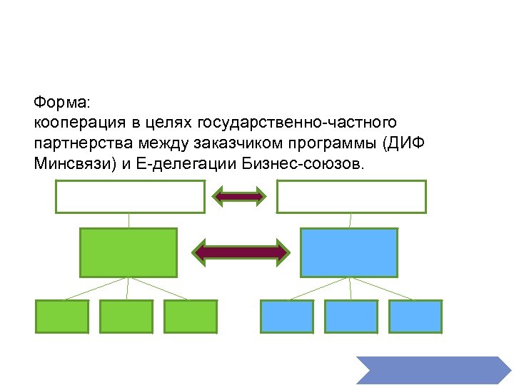 Форма: кооперация в целях государственно-частного партнерства между заказчиком программы (ДИФ Минсвязи) и Е-делегации Бизнес-союзов.